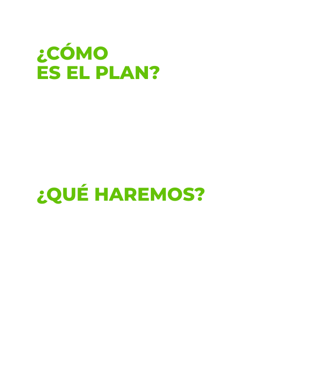 WEB - Como es el plan