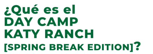 DayCAmpKR_Mobile_ESP-2